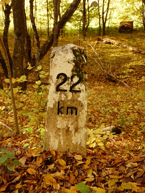 A képhez tartozó alt jellemző üres; 20241018_101325.jpg a fájlnév
