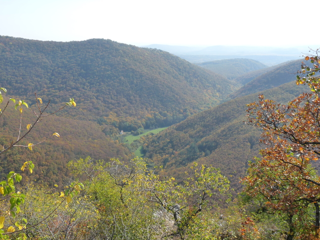 A képhez tartozó alt jellemző üres; 20241018_101325.jpg a fájlnév