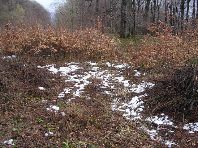 A képhez tartozó alt jellemző üres; 20241018_101325.jpg a fájlnév