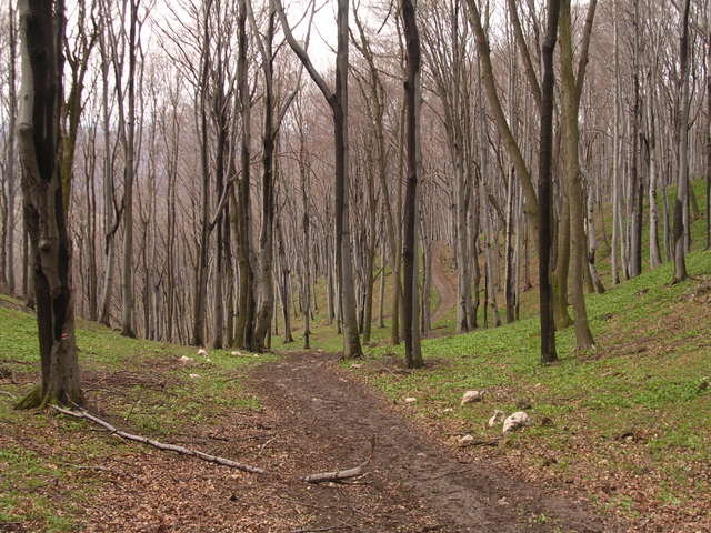 A képhez tartozó alt jellemző üres; 20241018_101325.jpg a fájlnév
