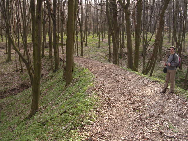 A képhez tartozó alt jellemző üres; 20241018_101325.jpg a fájlnév