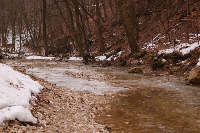 A képhez tartozó alt jellemző üres; 20241018_101325.jpg a fájlnév