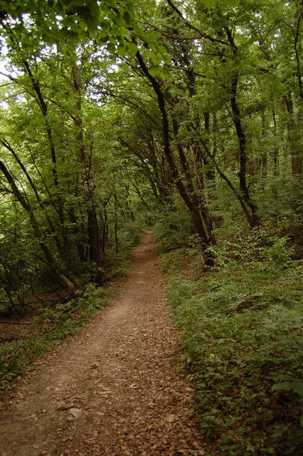 A képhez tartozó alt jellemző üres; 20241018_101325.jpg a fájlnév