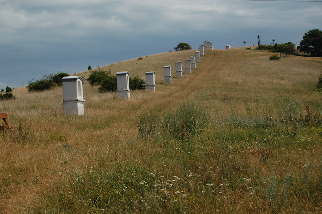 A képhez tartozó alt jellemző üres; 20241018_101325.jpg a fájlnév