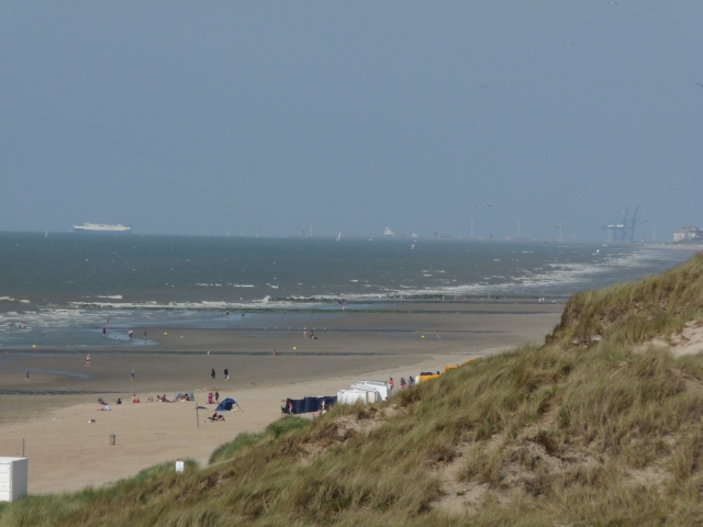 A képhez tartozó alt jellemző üres; 20241018_101325.jpg a fájlnév