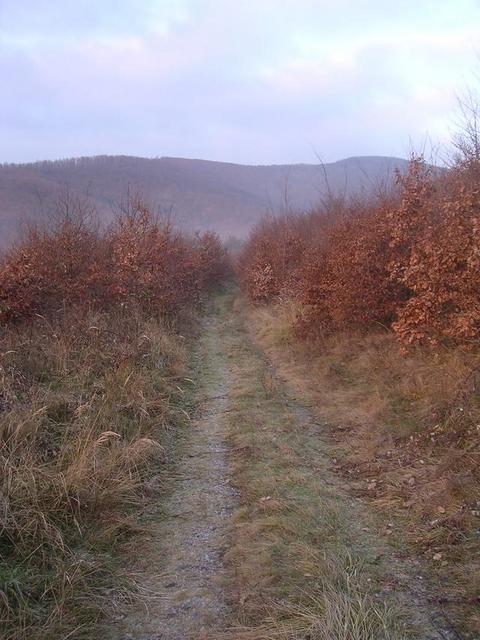 A képhez tartozó alt jellemző üres; 20241018_101325.jpg a fájlnév