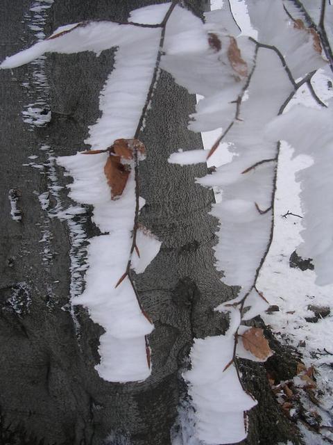 A képhez tartozó alt jellemző üres; 20241018_101325.jpg a fájlnév