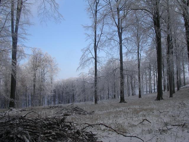 A képhez tartozó alt jellemző üres; 20241018_101325.jpg a fájlnév
