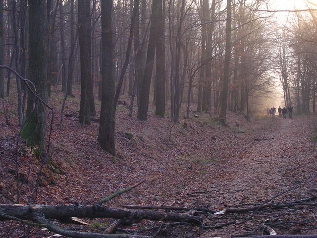 A képhez tartozó alt jellemző üres; 20241018_101325.jpg a fájlnév