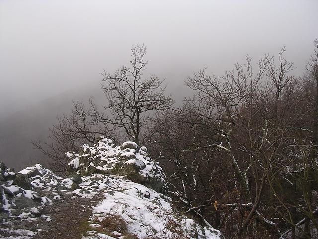 A képhez tartozó alt jellemző üres; 20241018_101325.jpg a fájlnév