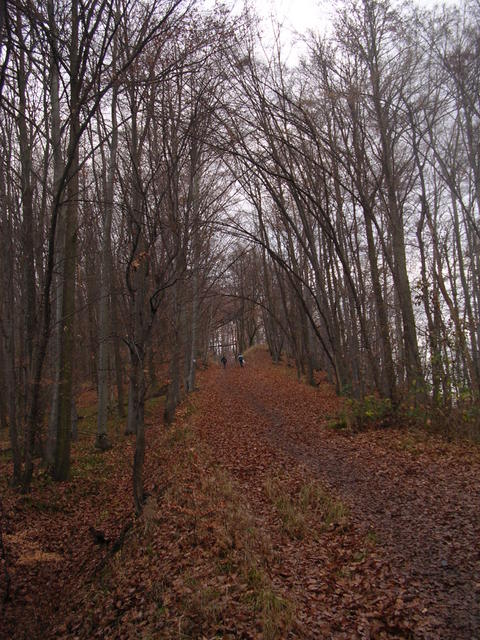 A képhez tartozó alt jellemző üres; 20241018_101325.jpg a fájlnév