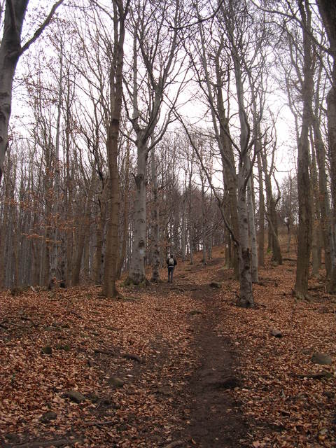 A képhez tartozó alt jellemző üres; 20241018_101325.jpg a fájlnév