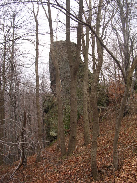 A képhez tartozó alt jellemző üres; 20241018_101325.jpg a fájlnév