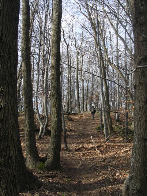 A képhez tartozó alt jellemző üres; 20241018_101325.jpg a fájlnév