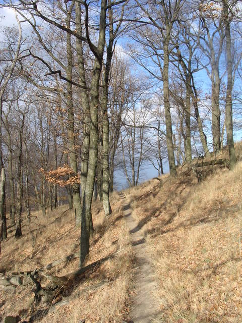 A képhez tartozó alt jellemző üres; 20241018_101325.jpg a fájlnév