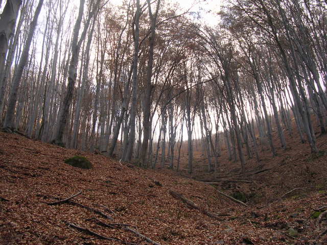 A képhez tartozó alt jellemző üres; 20241018_101325.jpg a fájlnév