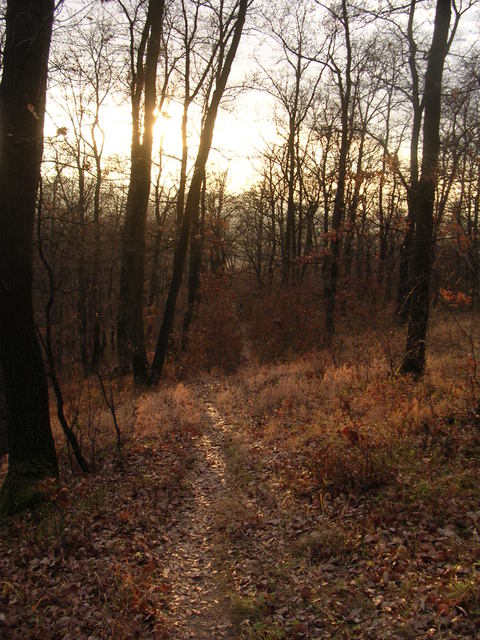 A képhez tartozó alt jellemző üres; 20241018_101325.jpg a fájlnév