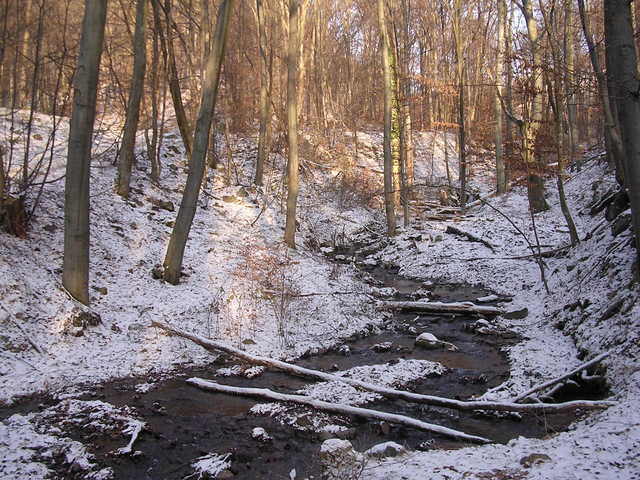 A képhez tartozó alt jellemző üres; 20241018_101325.jpg a fájlnév