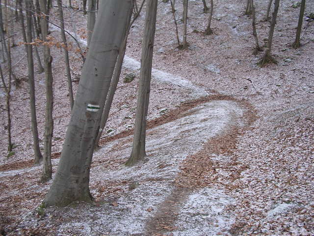 A képhez tartozó alt jellemző üres; 20241018_101325.jpg a fájlnév