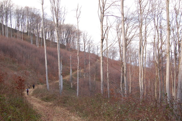 A képhez tartozó alt jellemző üres; 20241018_101325.jpg a fájlnév