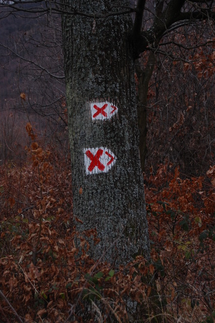 A képhez tartozó alt jellemző üres; 20241018_101325.jpg a fájlnév