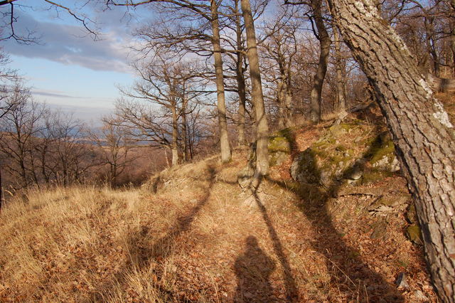 A képhez tartozó alt jellemző üres; 20241018_101325.jpg a fájlnév