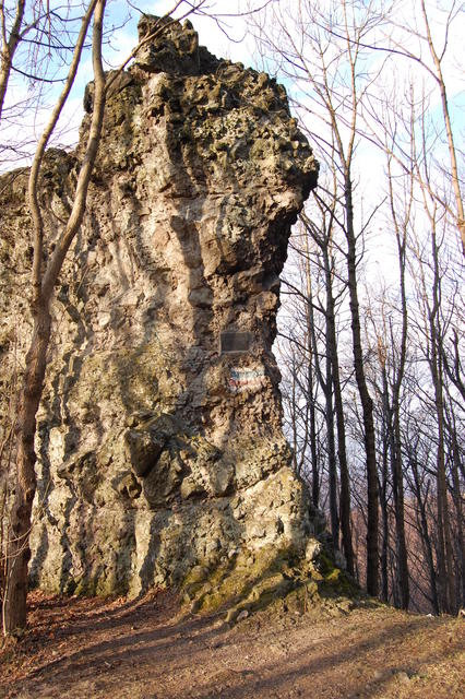 A képhez tartozó alt jellemző üres; 20241018_101325.jpg a fájlnév