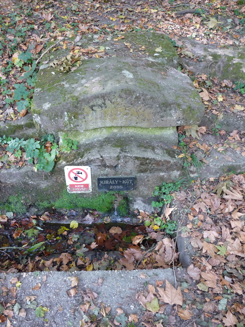 A képhez tartozó alt jellemző üres; 20241018_101325.jpg a fájlnév