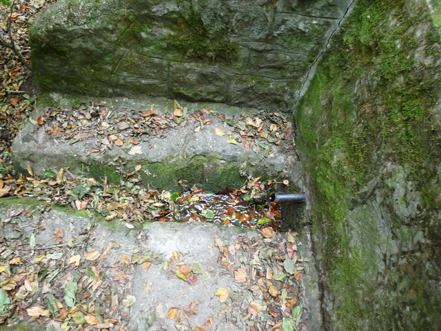 A képhez tartozó alt jellemző üres; 20241018_101325.jpg a fájlnév