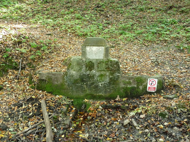 A képhez tartozó alt jellemző üres; 20241018_101325.jpg a fájlnév