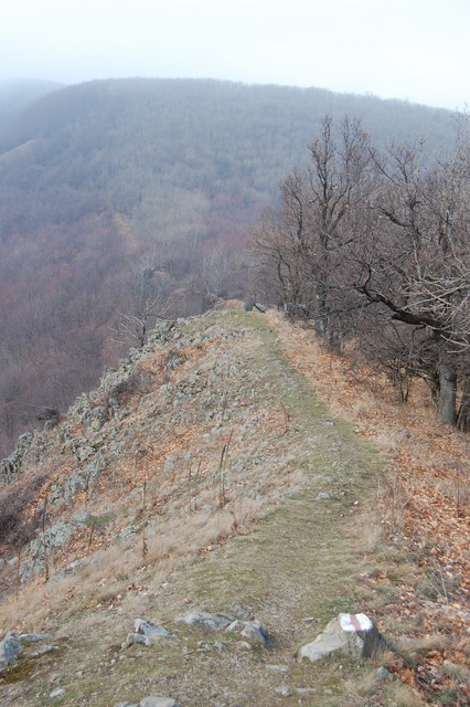 A képhez tartozó alt jellemző üres; 20241018_101325.jpg a fájlnév