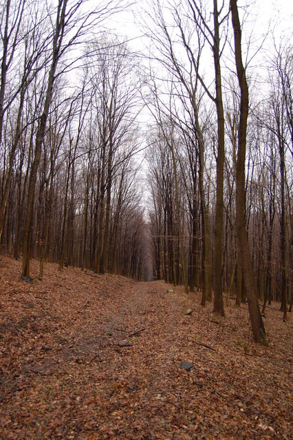 A képhez tartozó alt jellemző üres; 20241018_101325.jpg a fájlnév