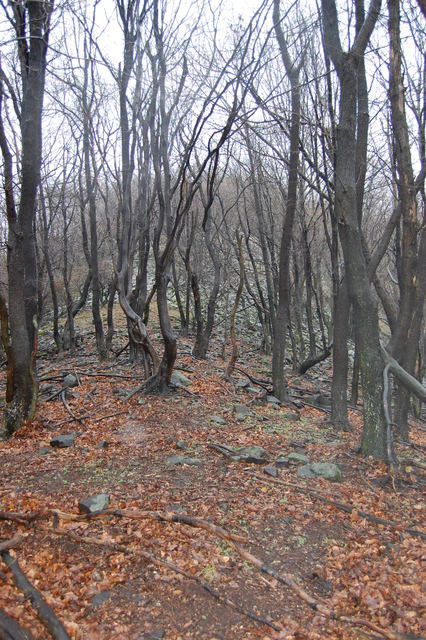 A képhez tartozó alt jellemző üres; 20241018_101325.jpg a fájlnév