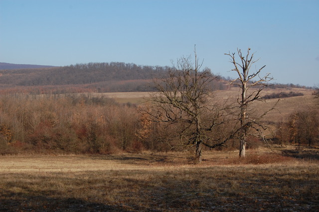A képhez tartozó alt jellemző üres; 20241018_101325.jpg a fájlnév