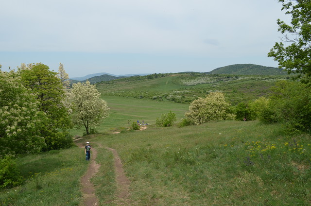 A képhez tartozó alt jellemző üres; 20241018_101325.jpg a fájlnév