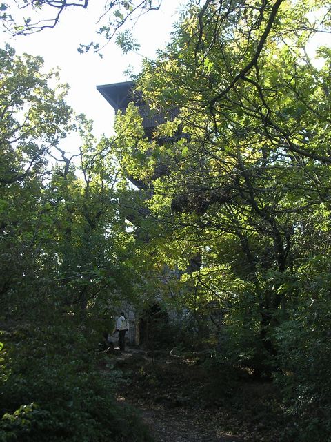 A képhez tartozó alt jellemző üres; 20241018_101325.jpg a fájlnév