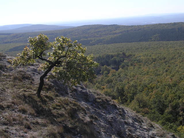 A képhez tartozó alt jellemző üres; 20241018_101325.jpg a fájlnév