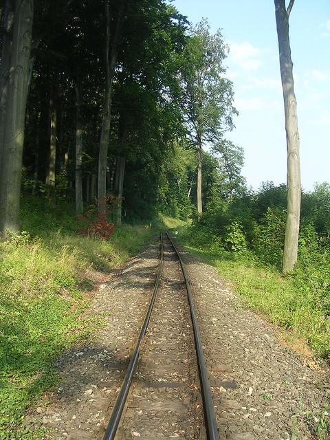 A képhez tartozó alt jellemző üres; 20241018_101325.jpg a fájlnév