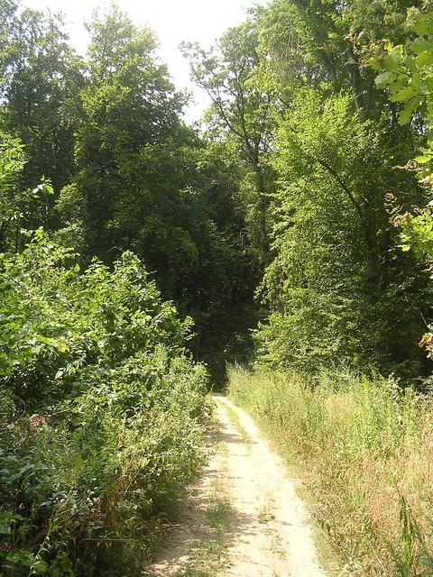 A képhez tartozó alt jellemző üres; 20241018_101325.jpg a fájlnév
