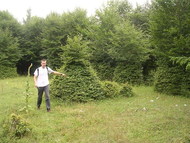A képhez tartozó alt jellemző üres; 20241018_101325.jpg a fájlnév