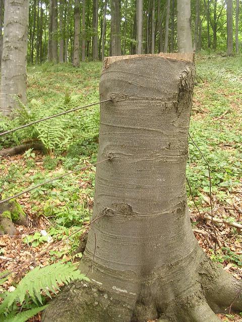 A képhez tartozó alt jellemző üres; 20241018_101325.jpg a fájlnév