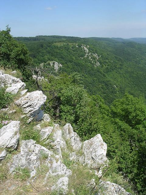 A képhez tartozó alt jellemző üres; 20241018_101325.jpg a fájlnév