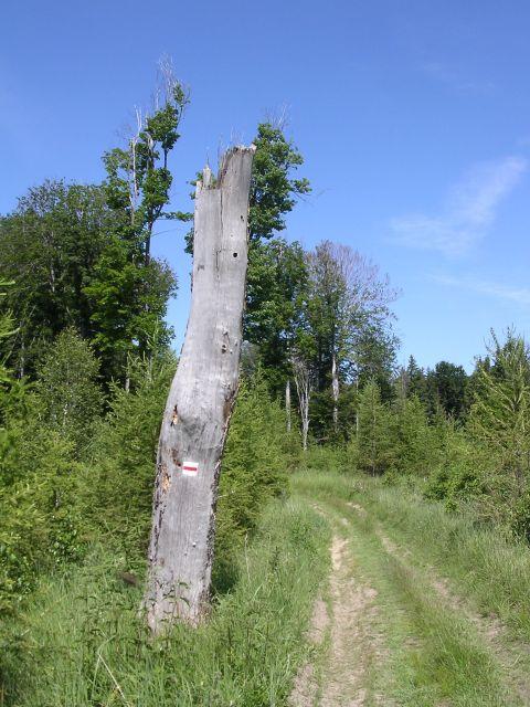A képhez tartozó alt jellemző üres; 20241018_101325.jpg a fájlnév