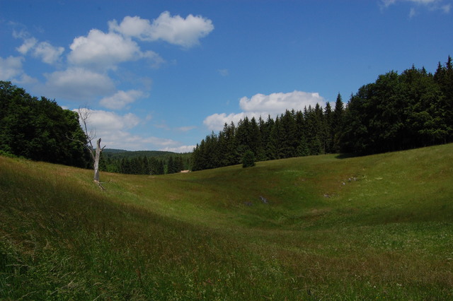 A képhez tartozó alt jellemző üres; 20241018_101325.jpg a fájlnév