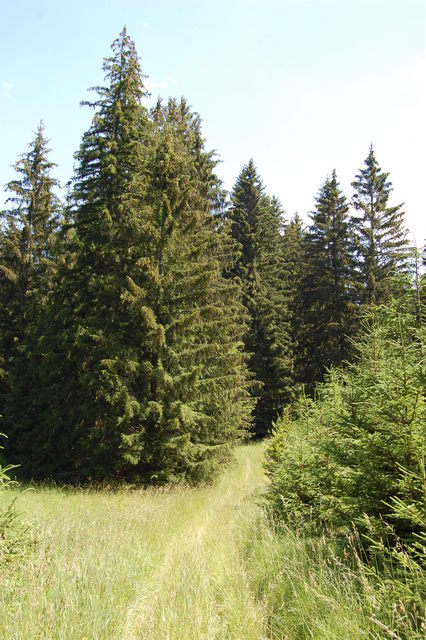 A képhez tartozó alt jellemző üres; 20241018_101325.jpg a fájlnév