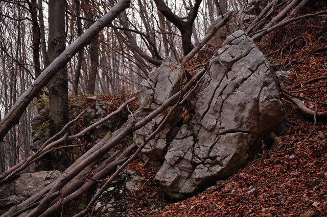 A képhez tartozó alt jellemző üres; 20241018_101325.jpg a fájlnév