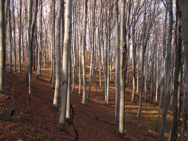 A képhez tartozó alt jellemző üres; 20241018_101325.jpg a fájlnév