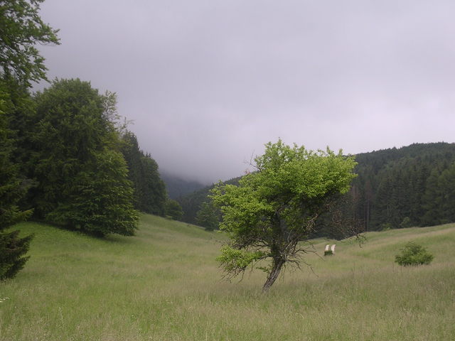 A képhez tartozó alt jellemző üres; 20241018_101325.jpg a fájlnév