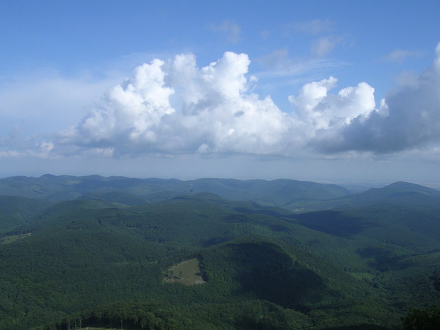 A képhez tartozó alt jellemző üres; 20241018_101325.jpg a fájlnév