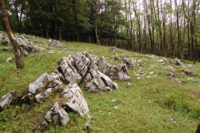 A képhez tartozó alt jellemző üres; 20241018_101325.jpg a fájlnév